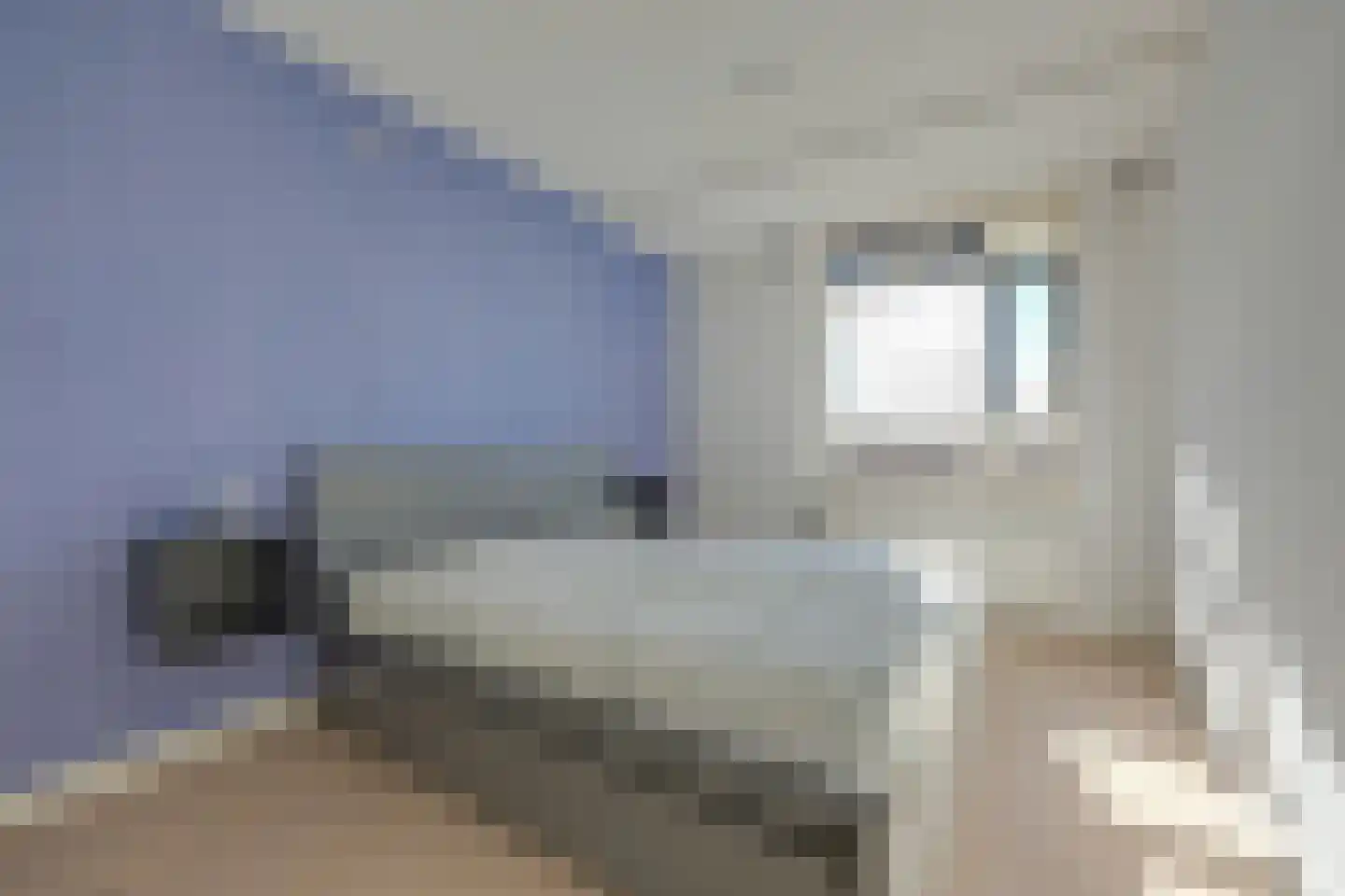 Dijkmeent 35 Almere thumbnail 17