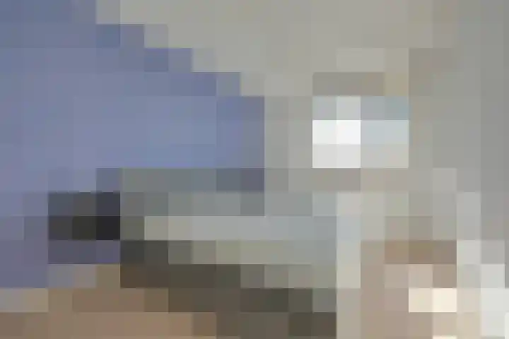 Dijkmeent 35 Almere thumbnail 17
