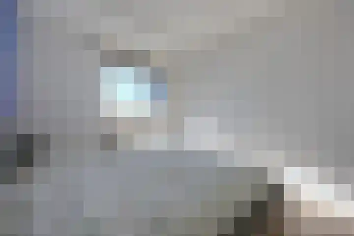 Dijkmeent 35 Almere thumbnail 18