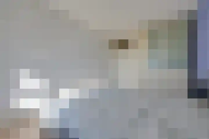 Dijkmeent 35 Almere thumbnail 20
