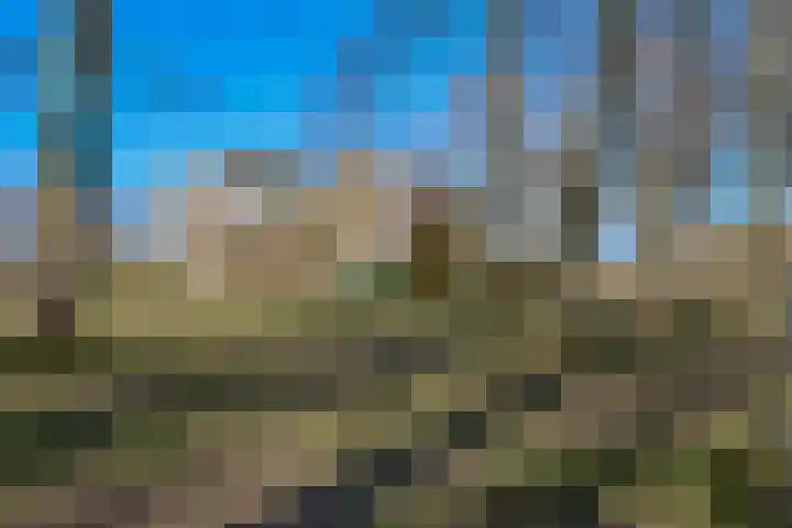 Dijkmeent 35 Almere thumbnail 38