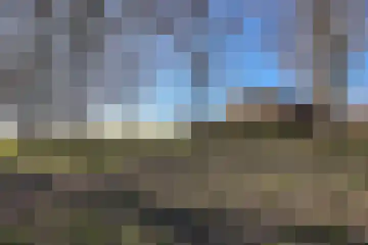 Dijkmeent 35 Almere thumbnail 39
