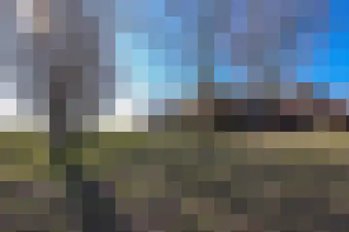 Dijkmeent 35 Almere thumbnail 40