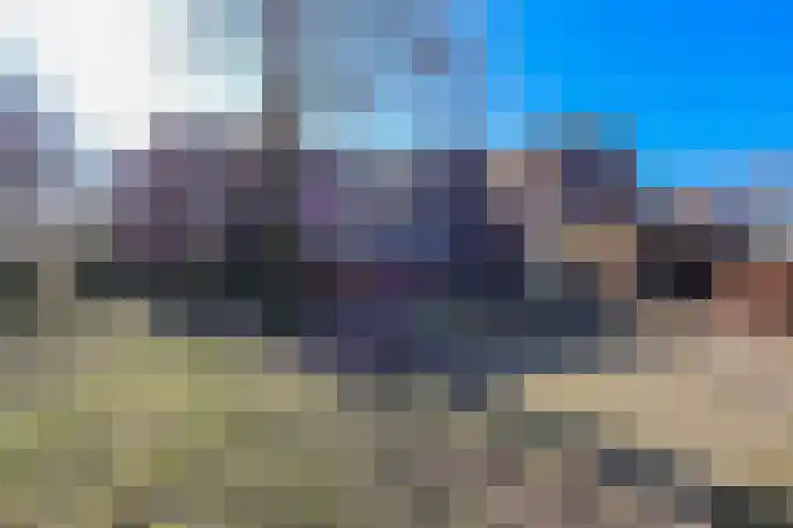 Dijkmeent 35 Almere thumbnail 41