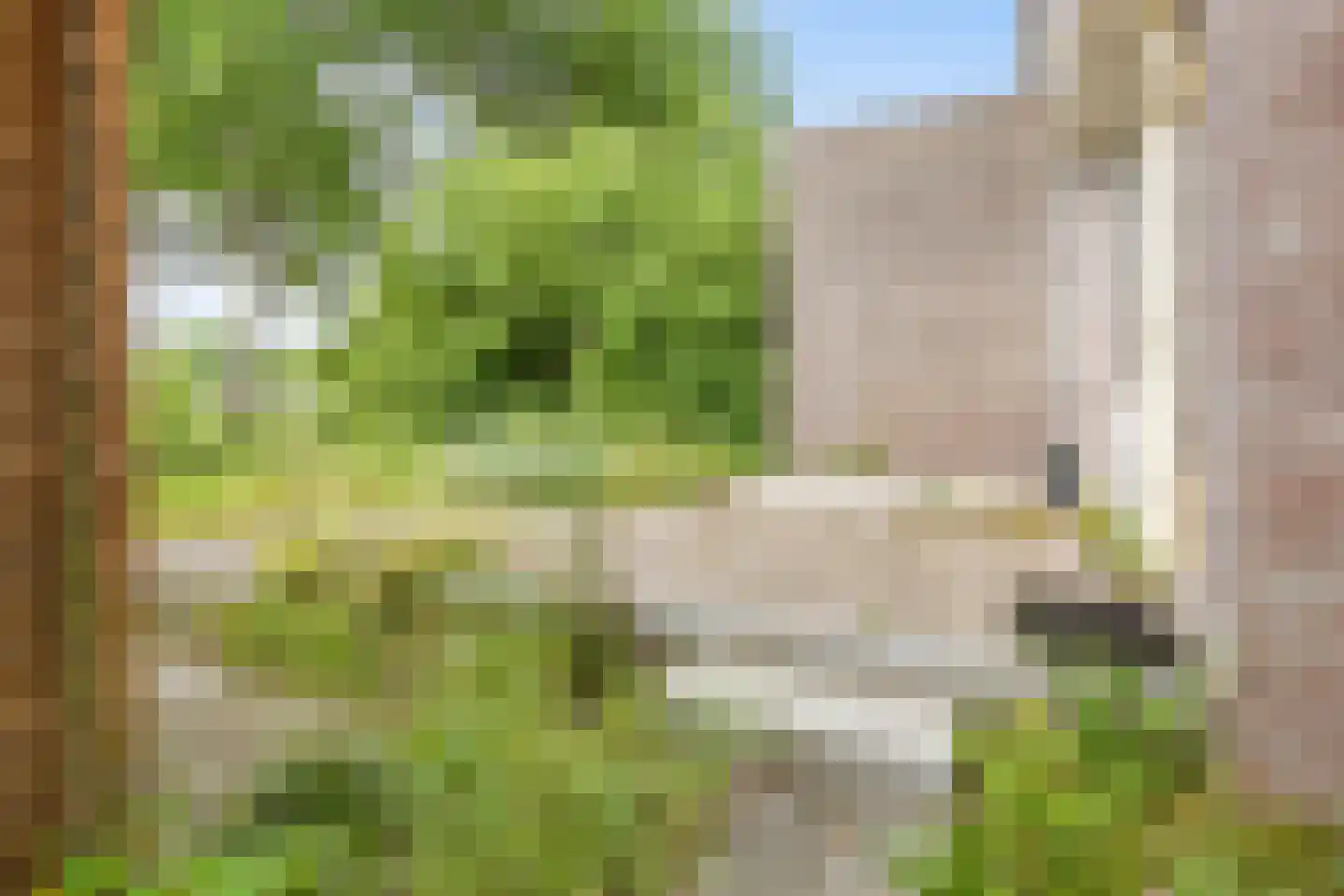 Dijkmeent 5 Almere thumbnail 21