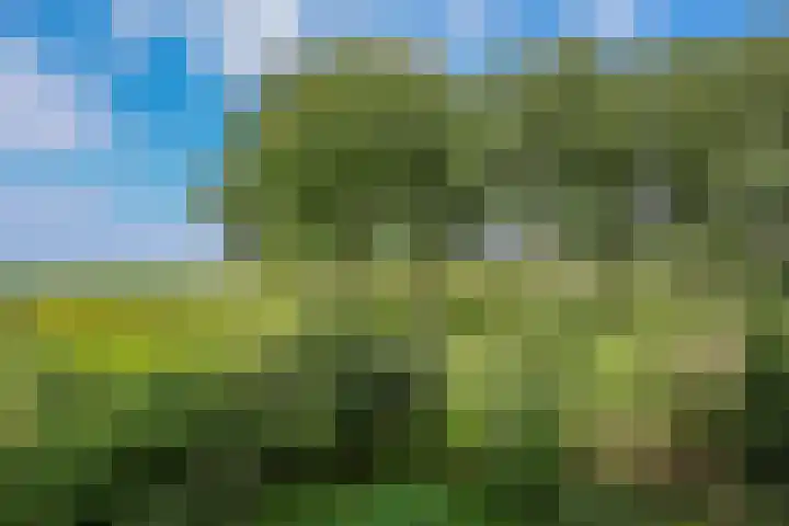 Dijkmeent 51 Almere thumbnail 10