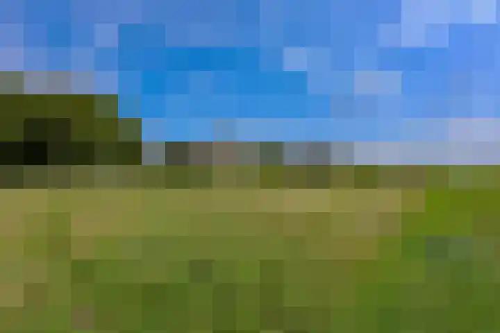 Dijkmeent 51 Almere thumbnail 36