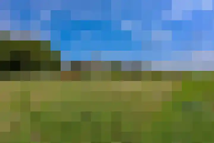 Dijkmeent 51 Almere thumbnail 37