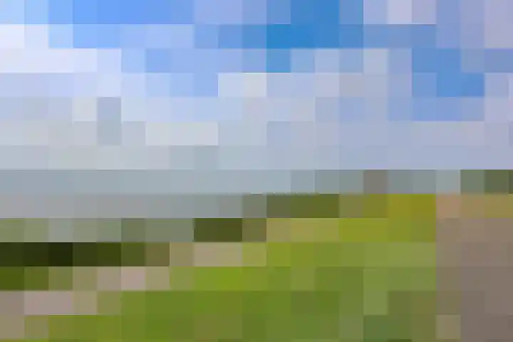 Dijkmeent 51 Almere thumbnail 38