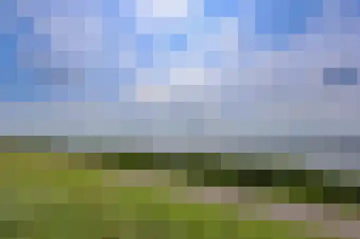 Dijkmeent 51 Almere thumbnail 39