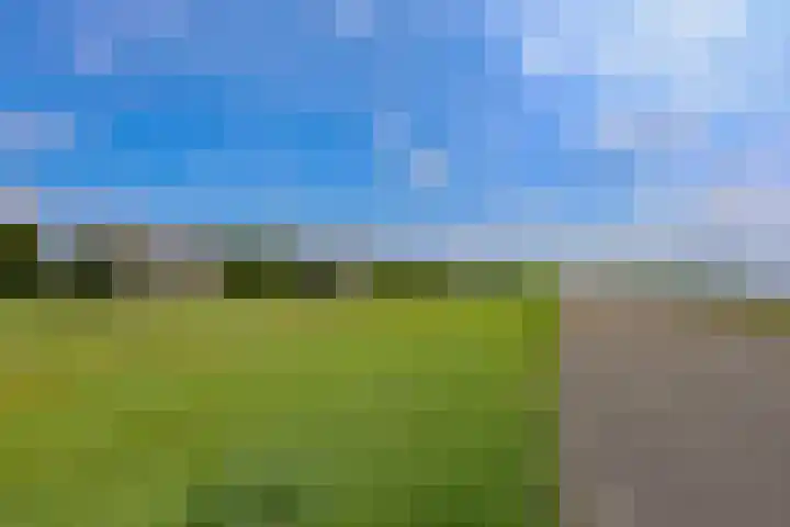 Dijkmeent 51 Almere thumbnail 40