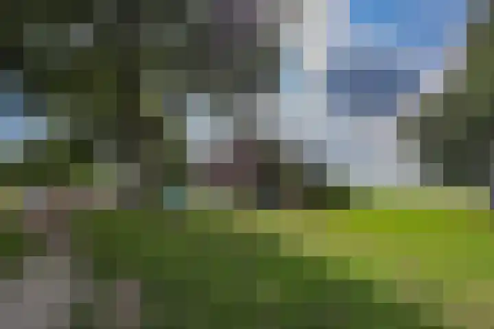 Dijkmeent 51 Almere thumbnail 41