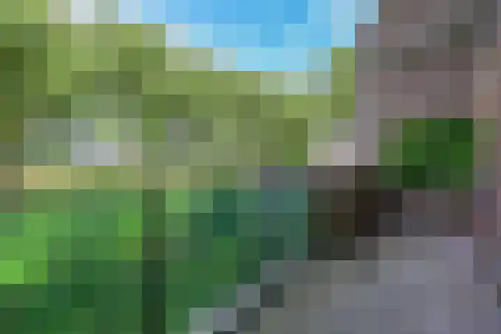 Dijkmeent 51 Almere thumbnail 9