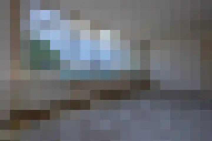 Dijkmeent 66 Almere thumbnail 11