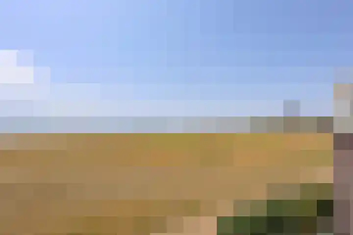 Dijkmeent 66 Almere thumbnail 16