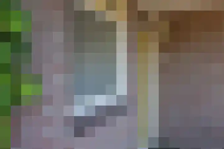 Dijkmeent 66 Almere thumbnail 27
