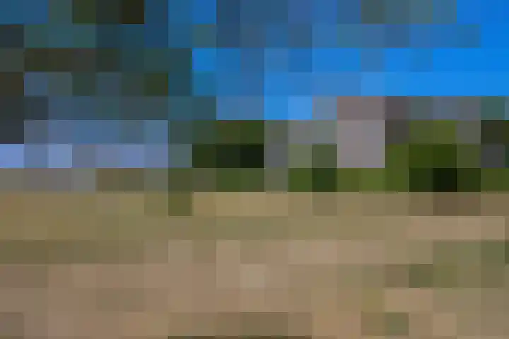Dijkmeent 66 Almere thumbnail 39