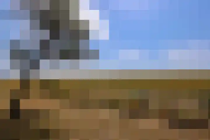 Dijkmeent 66 Almere thumbnail 41