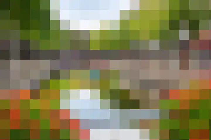 Dijkmeent 66 Almere thumbnail 45