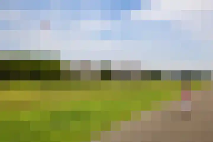 Dijkmeent 66 Almere thumbnail 46