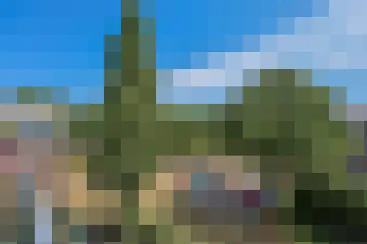 Dijkmeent 66 Almere thumbnail 9