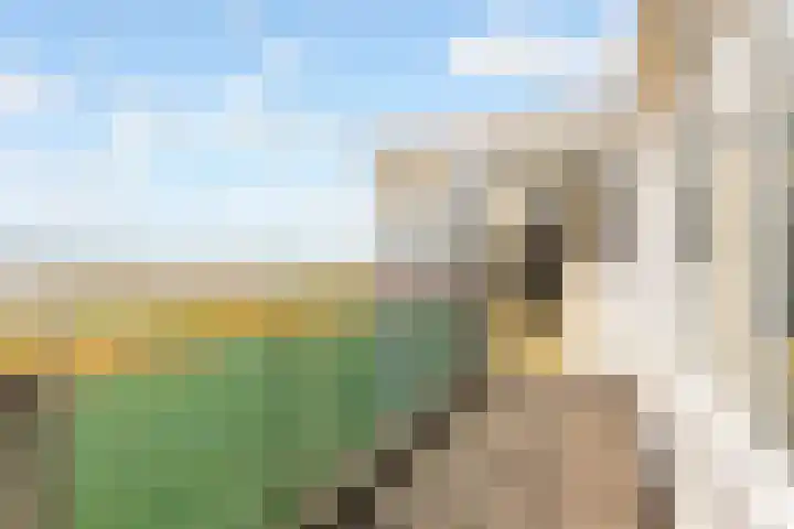 Dijkmeent 67 Almere thumbnail 19