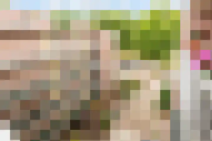 Dijkmeent 67 Almere thumbnail 36