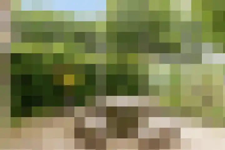 Dijkmeent 67 Almere thumbnail 39