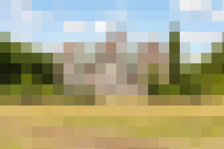 Dijkmeent 67 Almere thumbnail 41