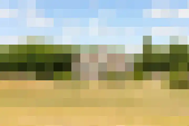Dijkmeent 67 Almere thumbnail 42