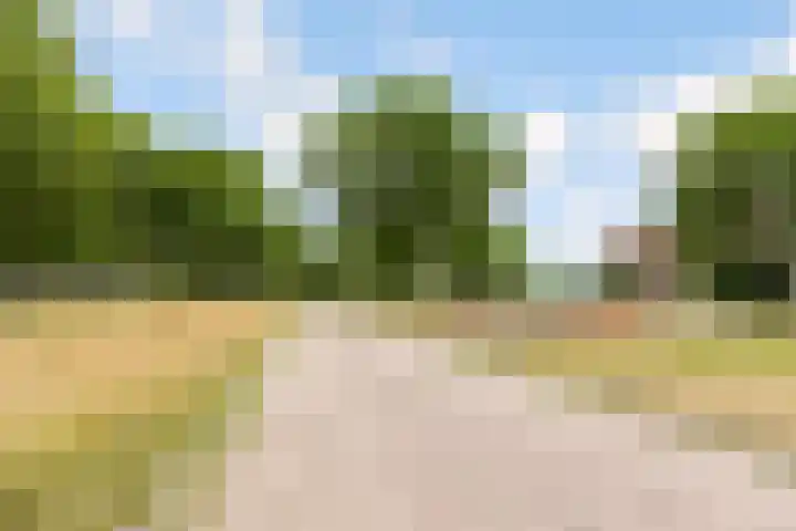 Dijkmeent 67 Almere thumbnail 46