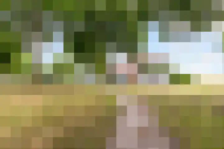 Dijkmeent 67 Almere thumbnail 47