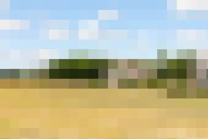 Dijkmeent 67 Almere thumbnail 48