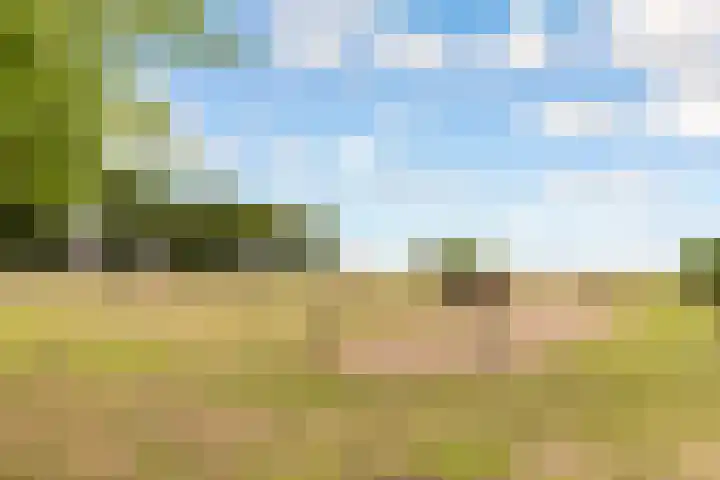 Dijkmeent 67 Almere thumbnail 49
