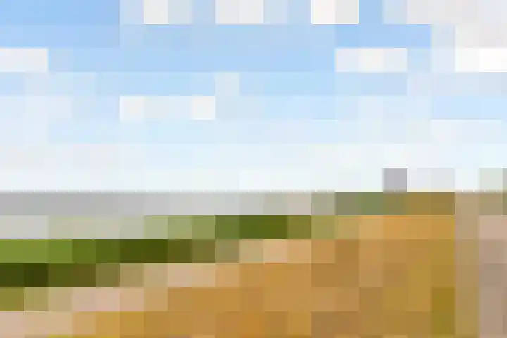 Dijkmeent 67 Almere thumbnail 5