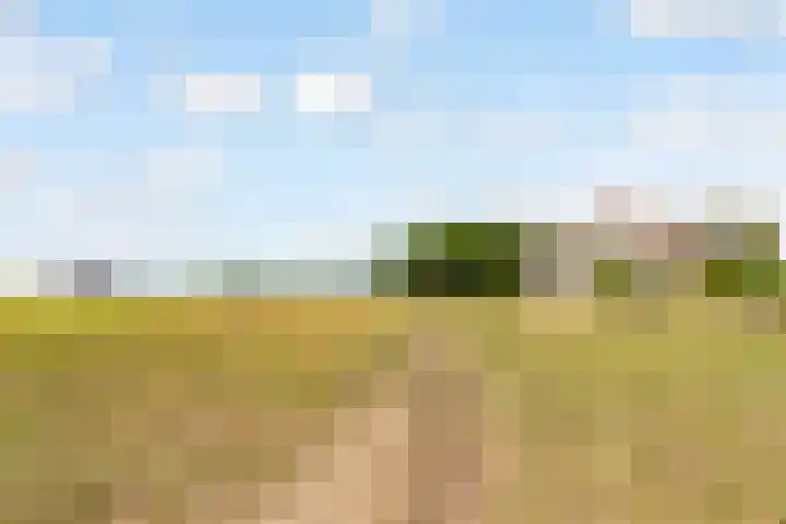 Dijkmeent 67 Almere thumbnail 50