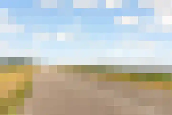 Dijkmeent 67 Almere thumbnail 52