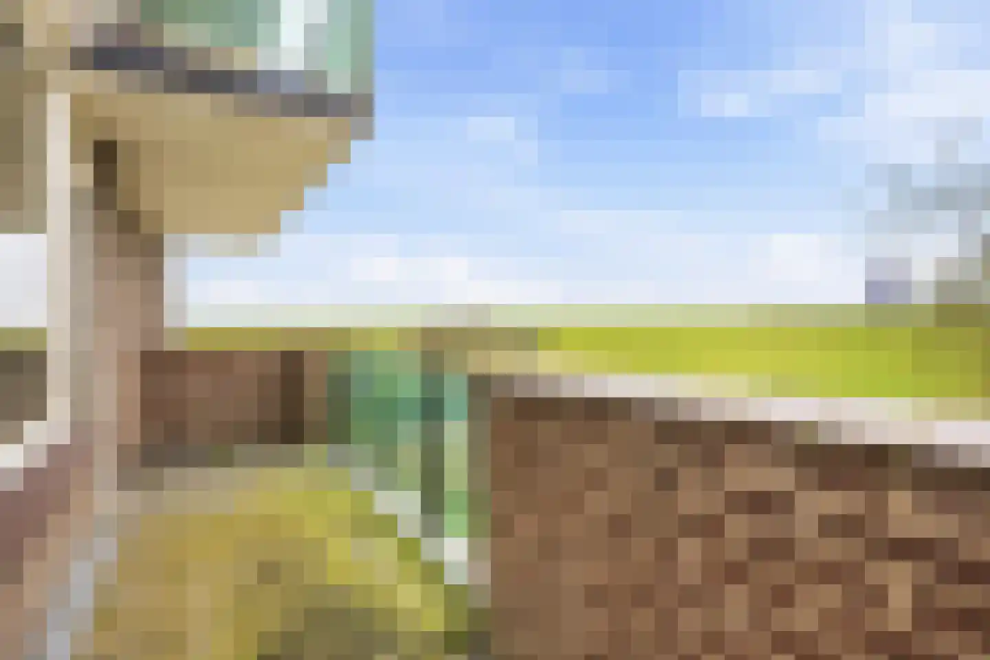 Dijkmeent 80 Almere thumbnail 4