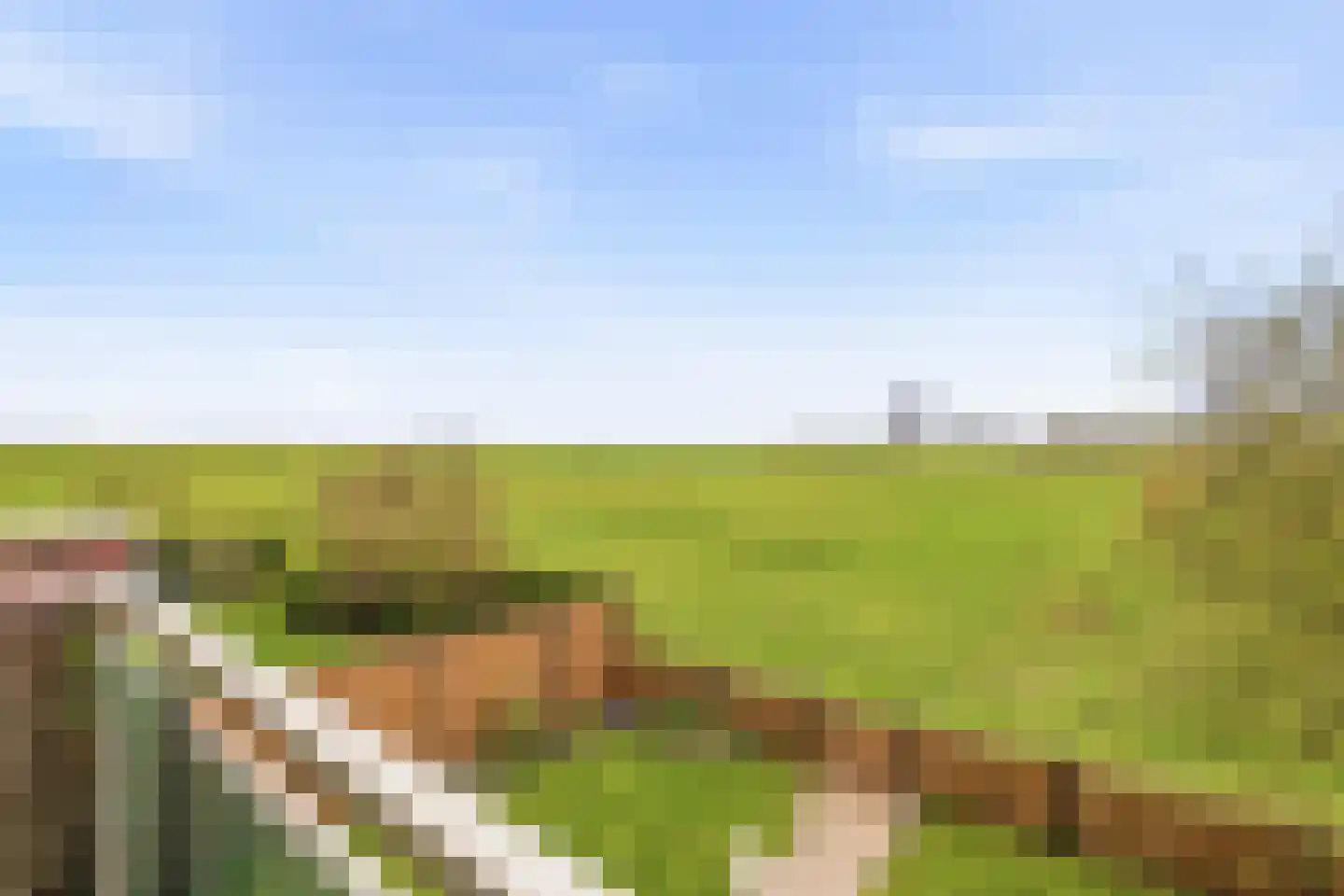 Dijkmeent 80 Almere thumbnail 8
