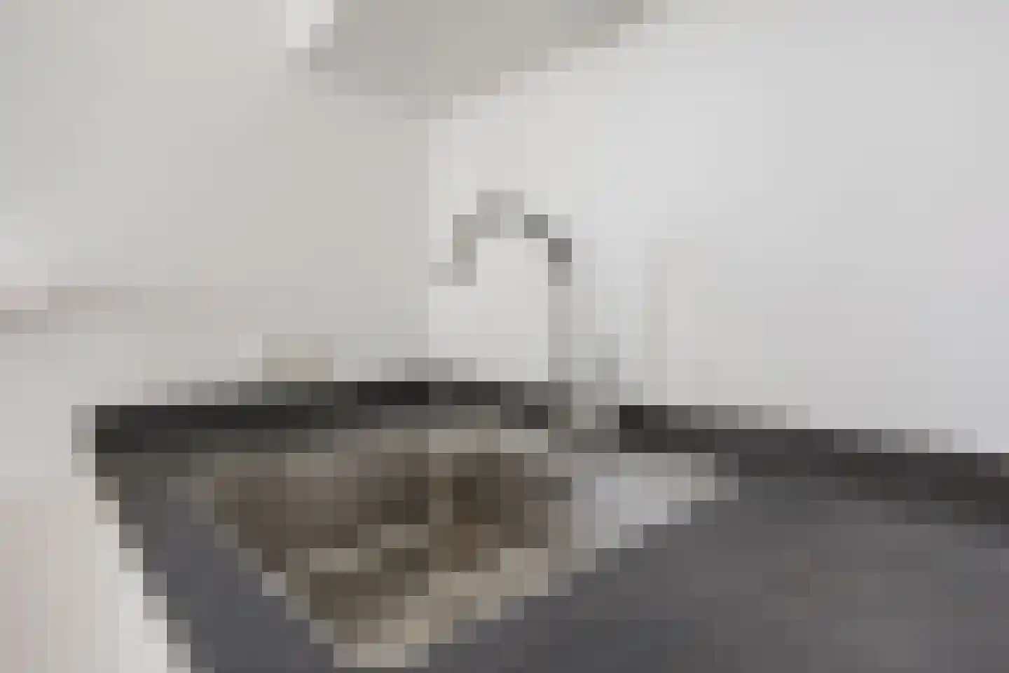 Dijkmeent 91 Almere thumbnail 10