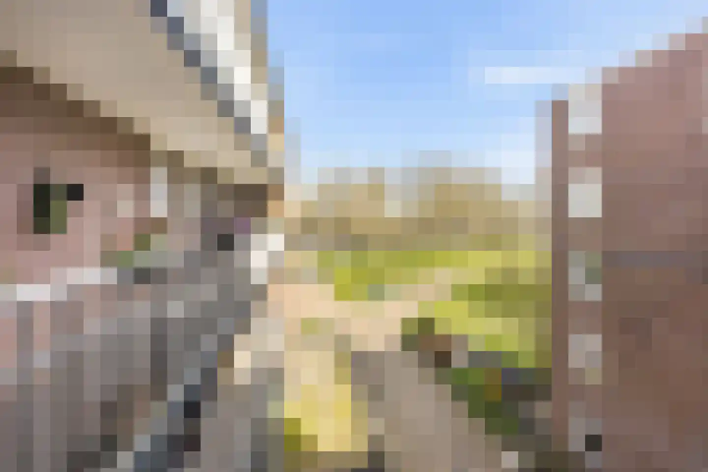 Dijkmeent 91 Almere thumbnail 30