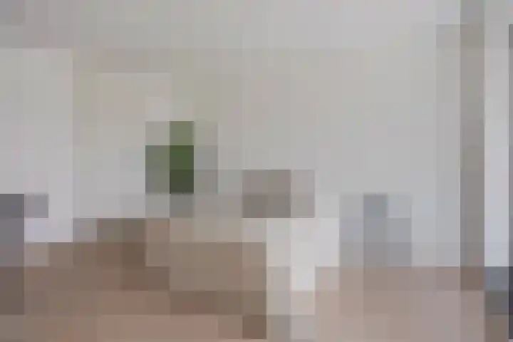 Dijkmeerlaan 303 Amsterdam thumbnail 13