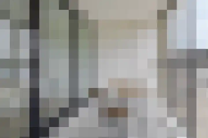 Dijkmeerlaan 303 Amsterdam thumbnail 14