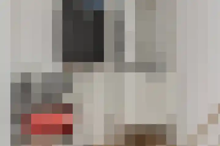 Dijkmeerlaan 303 Amsterdam thumbnail 19