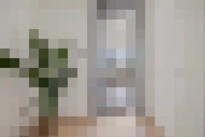 Dijkmeerlaan 303 Amsterdam thumbnail 4