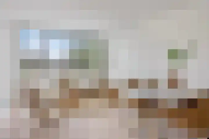 Dijkmeerlaan 303 Amsterdam thumbnail 6