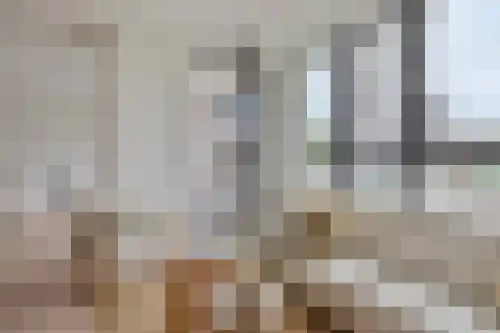 Dijkmeerlaan 303 Amsterdam thumbnail 7