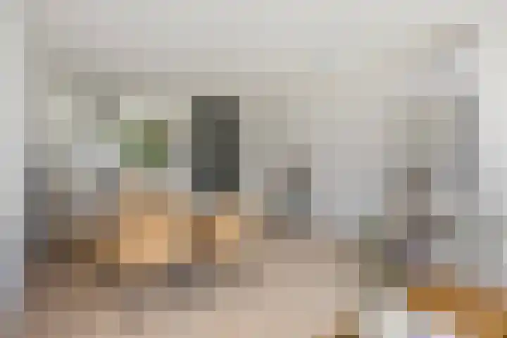 Dijkmeerlaan 303 Amsterdam thumbnail 8