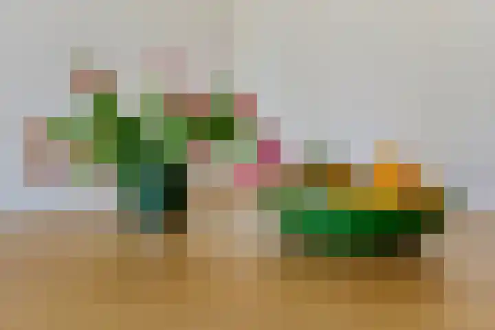 Dijkmeerlaan 309 Amsterdam thumbnail 10