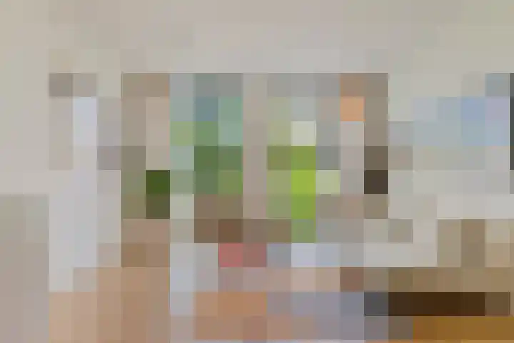 Dijkmeerlaan 309 Amsterdam thumbnail 11